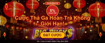 VNF8BEF Việt Nam